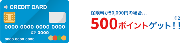 �ی�����50,000�~�̏ꍇ 500�|�C���g�Q�b�g�I�I(��)