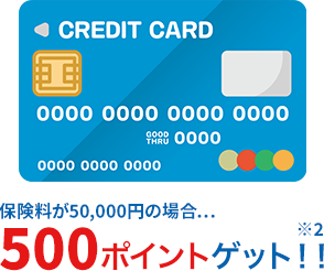 �ی�����50,000�~�̏ꍇ 500�|�C���g�Q�b�g�I�I(��)