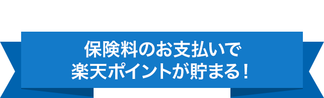 �ƊE���I�ی����̂��x�����Ŋy�V�|�C���g�����܂�I