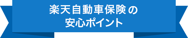 �h���C�u�A�V�X�g�̈��S�|�C���g